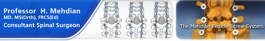 Mehdian sub graphics